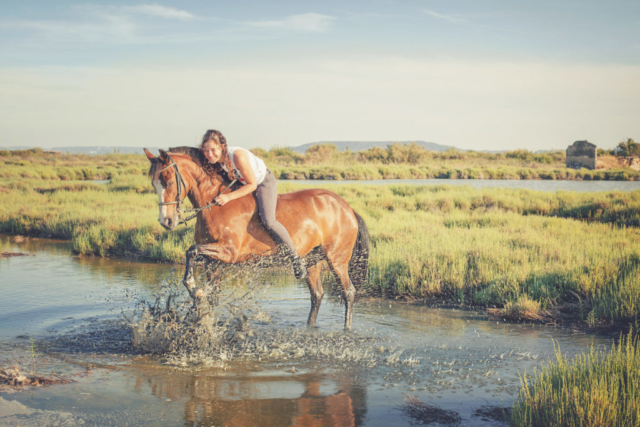 Photographe animaux de compagnie, cheval, cavalière
