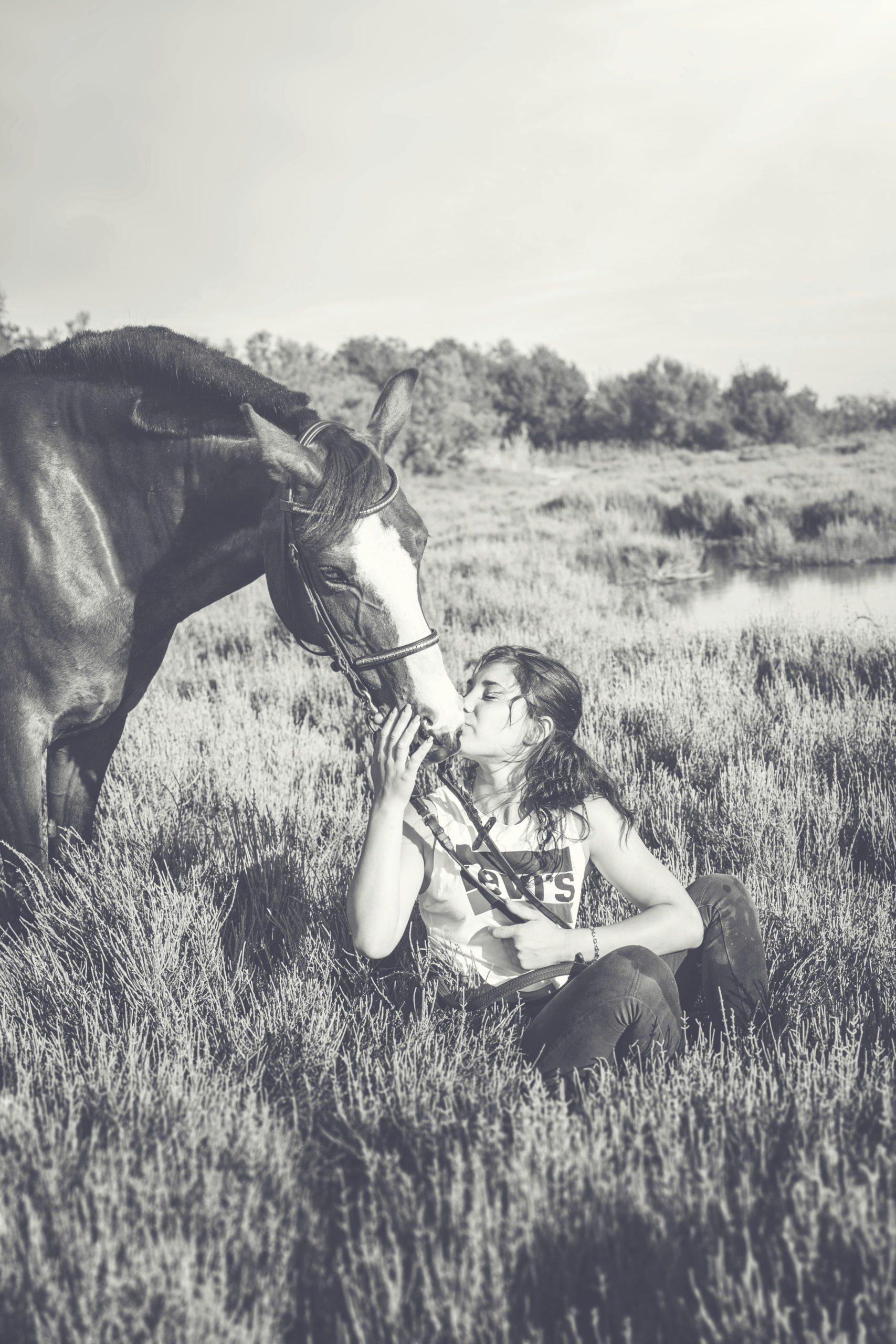 Photographe animaux de compagnie, cheval et sa cavalière
